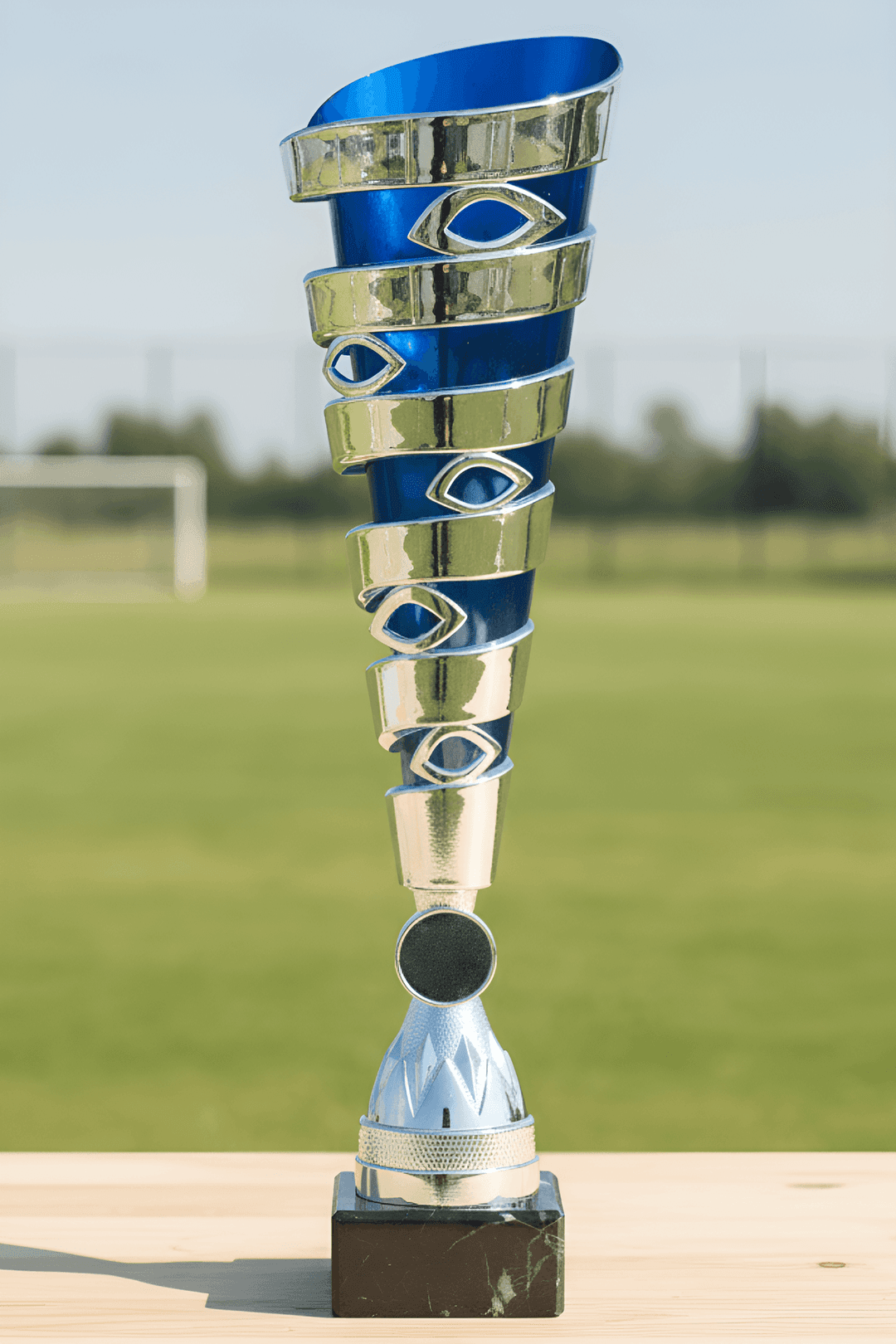 Puchar - CUP313