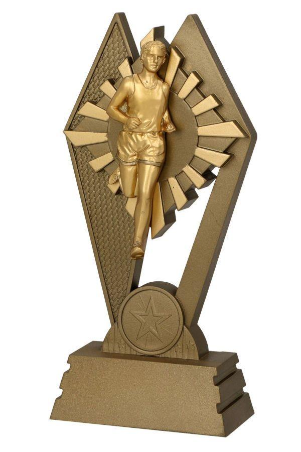 Resin award -  RES053