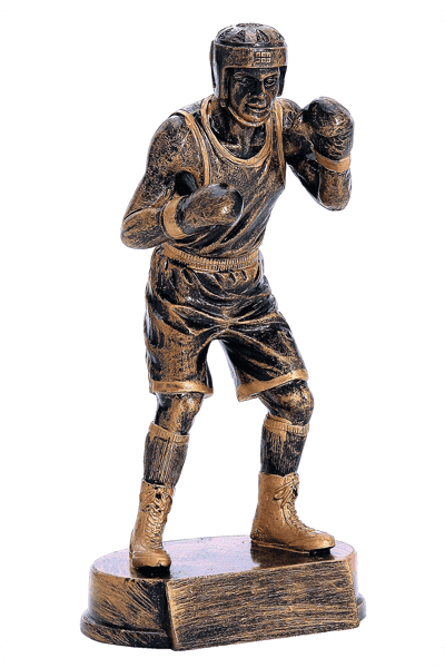 Resin award -  RES166
