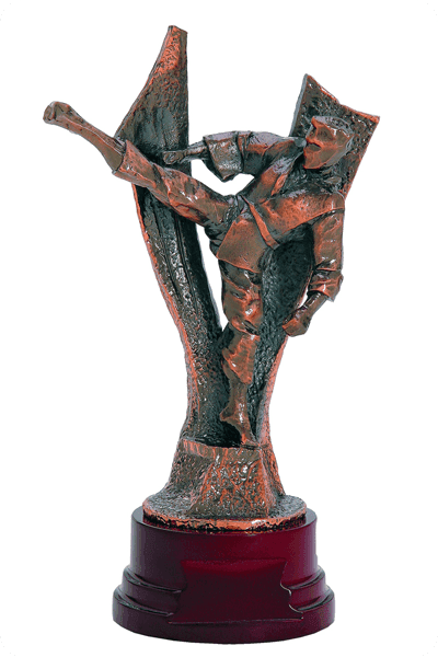 Resin award -  RES173